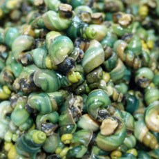 정옥다슬기 지리산 1급수 자연산 깐다슬기 200g, 2개