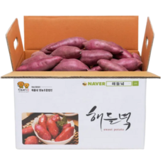 [25년 고구마] 산지직송 해들녘 무농약 고창 세척 꿀 고구마 3kg 5kg 10kg (한입/중/특상/왕), 해들녘고구마 5kg (특상 사이즈), 1개
