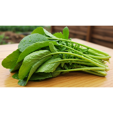 [국산] 아삭하게 잘 자란 열무! 부드러움보다 풍성함, 1박스, 국산 열무 800g