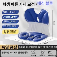 굽은등 곧게 인체공학 허리 지지 등받이 쿠션 사무실 자세 교정용, 어린이용 기본 [매직블루]