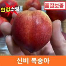 [품질보증] 6월 한달만 맛볼수 있는 산지직송 고당도 신비복숭아, 1개, 1kg(대과) 6과~8과