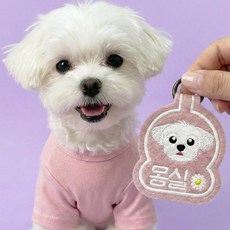 펫스츄리 강아지 반려동물 커스텀 네임택 캐릭터 이름표 자수 인식표 멍찰, 1개, 인디언핑크