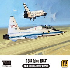 No300/미공군 고등훈련기 탈론 T-38A Talon NASA, 1개