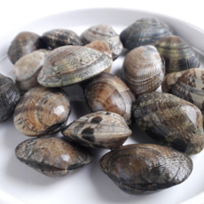 [재구매율1위]몬나니마켓 시원한 남해안 왕바지락, 1박스, 1kg