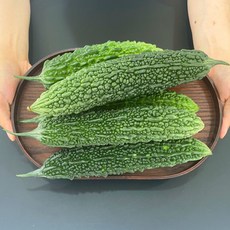 경남거창 국내산 햇 생여주 비터멜론, 생여주 특품 1kg, 1개