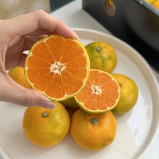 [명품제주감귤] 25년 특급배송 고당도 제주 명품 하우스 감귤 소과 2kg, 1개