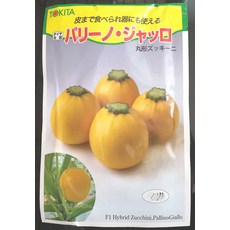 TOKITA F1 Hybrid Pallino Giallo 櫛瓜種子 果實漂亮黃色 皮まで食べられる器にも使える, 1包