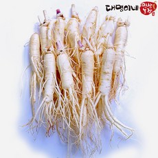 금산인삼 4년근 5년근 6년근 세척 무세척 수삼 가정용, (세척)원삼 10뿌리-500g, 1개