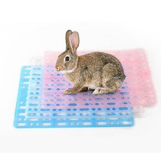 단비가 케이지 발판 5개입 철장발판, 블루 5p