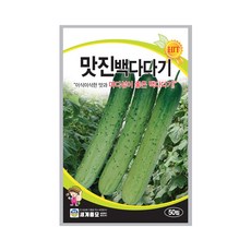 맛진백다다기 50립/세계종묘 마디백다다기오이씨앗, 1개