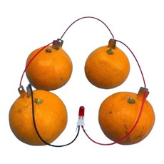 초등과학 구리판 전기발생 LED 과일전지 실험키트 전자실험 환원반응 탐구생활 실헙용, 2개