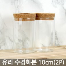 세인화분 코르크 유리 수경화분 2P - 화병 꽃병 수경 식물 재배 개운죽, 1개, 코르크수경화분2P_10cm