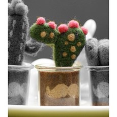 手工好物 圈圈木多肉植物羊毛氈搓搓樂材料包迷你小盆栽綠植DIY手工新手, 紅點仙人掌（送工具花盆）, 1個