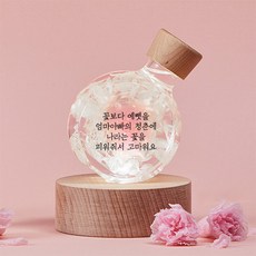 리비트 어버이날 선물 카네이션 무드등-6종 모음, 카네이션핑크(L)-(꽃보다 예뻤을~피워줘서 고마워요)