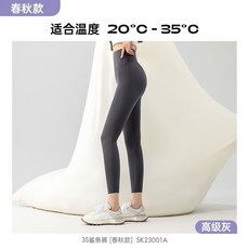 MissWiss 5SPro鯊魚褲