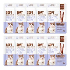 캣퓨어 고양이 소프트 덴탈껌, 20g, 10개, 구강 간건강에 도움