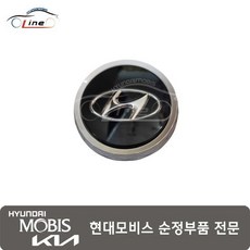 휠 허브 캡 52960 L1200