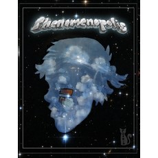 Phenomenopolis Paperback, Lulu.com, English, 9781716289507