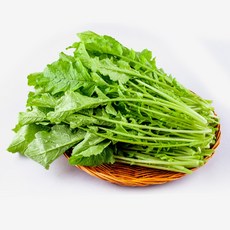 싱싱하고 아삭한 국내산 열무, 1개, 4kg