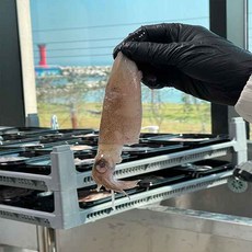 원양산 급냉 고소한 총알한치 500g x 3개 /개당 15~23미내외