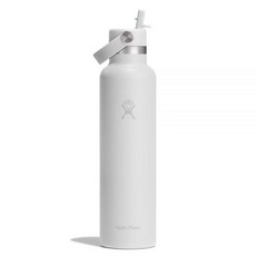 Hydro Flask 물병 - 단열 스테인리스 스틸 빨대 뚜껑 흘림 방지 누출 709.8ml(24온스) 토널 화이트, Hydro Flask 물병 - 단열 스테인리스 스틸 빨