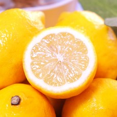 [만족도1위] 국산 제주 레몬, 1박스, 5kg