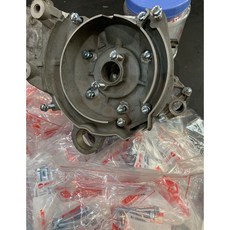 三陽 DIO50 ks 白鋅螺絲 14支 迪奧50 引擎螺絲組, 1個