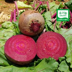 산지직송 유기농 무농약 비트 알비트 레드비트 5kg, 1개, 3kg