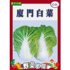日本廈門白菜種子 G01, 1包
