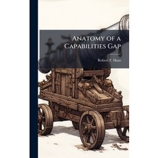 (英文圖書)Anatomy of a Capabilities Gap 精裝版, Hutson Street Press, 英文
