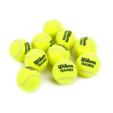 윌슨 트레이너 테니스공 연습용 레슨용 WRT132200, 1개