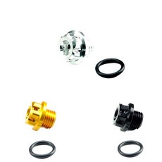 全車系 齒輪油螺絲 白鐵鍍鈦 鍍金 鋁合金 齒輪油注入孔蓋 齒輪油改裝螺絲, 1個, 白鐵鍍金, 白鐵鍍金