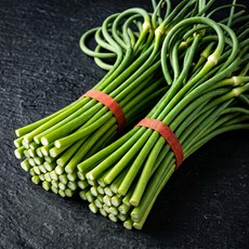 [당일수확] 국산 햇 마늘쫑 산지직송, 1개, 2kg