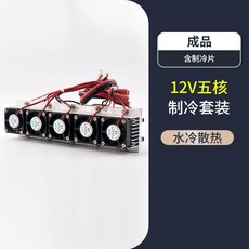 12V半導體製冷片套裝 降溫電子製冷器 小空調冰櫃DIY水冷頭導冷套件, 1個, （成品）12V五核製冷套裝（水冷散熱）含, （成品）12V五核製冷套裝（水冷散熱）含