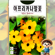 KS종묘 아프리카나팔꽃 10립 툰베르기아 덩굴성 꽃씨 씨앗 종자, 1개