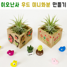 에코가드닝 어린이집 식목일 화분 1인 키트 나만의 이오난사 미니화분 키우기, 1인용 우드미니팬던트 미니화분