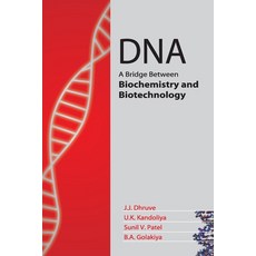(영문도서) DNA: A Bridge Between Biochemistry And Biotechnology Paperback, Nipa, English, 9788119072934