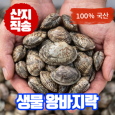 어부의뜰 국산 남해 바지락 생물 해감 왕바지락 조개 손질 국내산 바지락살, 1개, 1kg