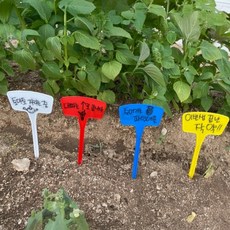 식물 라벨 화분이름표