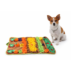 집속한켠 강아지 애견 노즈워크 장난감 간식 숨김놀이 78x48cm, 1