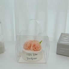 메시지 카네이션 석고방향제 포장 키트, 체크봉투(그린)