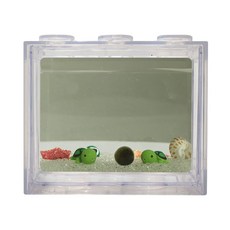 세남자바스켓 심플 바다 DIY 세트-국산 마리모(중), 투명색 블럭, 투명색 자갈, 1개