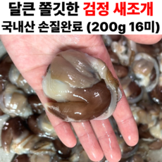 특품 손질 새조개 당일조업 검정 새조개 샤브샤브, 1세트, 200g ( 16미 내외)