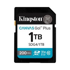 金士頓 記憶卡 適用於相機, 1個, SDG4/1TB