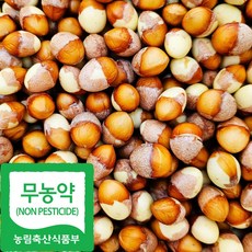 국산 친환경 깐 은행 중, 1개, 500g