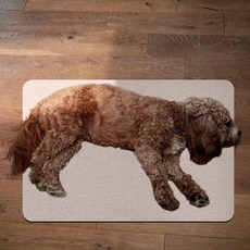 도모아 애완동물 알루미늄 패드 XL, 1개, 상세페이지 참조