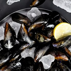 자연순수 국내산 홍합 신선한 바다향 직배송, 2개, 1kg