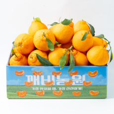 깨비농원 한라봉, 1박스, 한라봉 4.5kg 소과