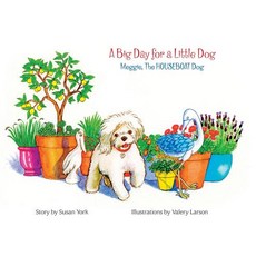 (영문도서) A Big Day for a Little Dog: Meggie The HOUSEBOAT Dog Hardcover, Susan York, English, 9780999533673