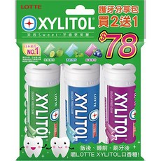 LOTTE 木糖醇 護牙 分享包 78.3g, 1個